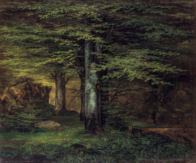 178 Ernst Ferdinand Oehme (1797 – 1855) Waldinneres 1821/22, Öl auf Leinwand,  40 × 47,5 cm  Staatliche Kunstsammlungen  Dresden, Albertinum, GNM