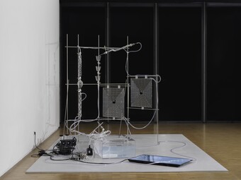 Aaron S. Davidson, Melissa Dubbin Delay Lines (feedback), 2020 / 2021, Collection Centre Pompidou, Paris Musée national d’art moderne - Centre de création industrielle Inventarnummer: AM 2023-169 © Rechte vorbehalten Bildnachweis: Centre Pompidou, MNAM-Cc Aaron S. Davidson, Melissa Dubbin Delay Lines (feedback), 2020 / 2021, Collection Centre Pompidou, Paris Musée national d’art moderne - Centre de création industrielle Inventarnummer: AM 2023-169 © Rechte vorbehalten Bildnachweis: Centre Pompidou, MNAM-Cc