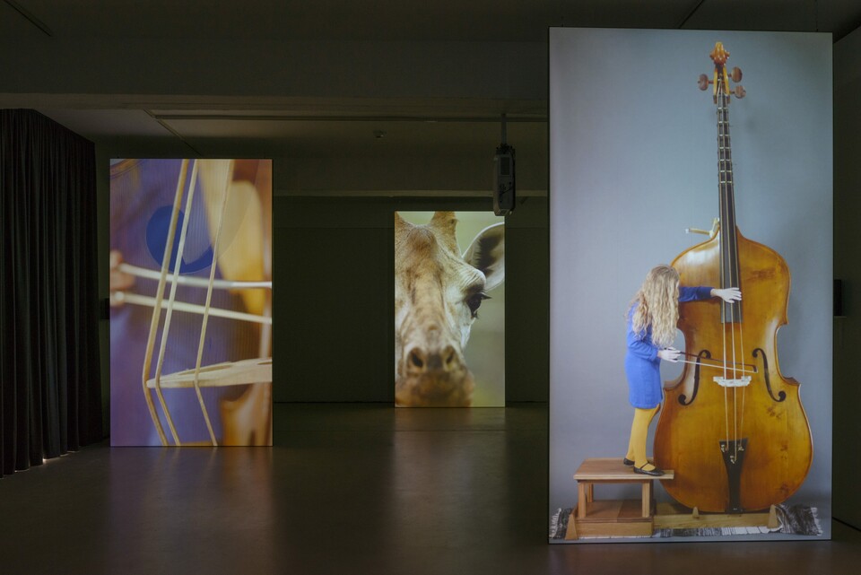 something new, something old, something desired | Hamburger Kunsthalle