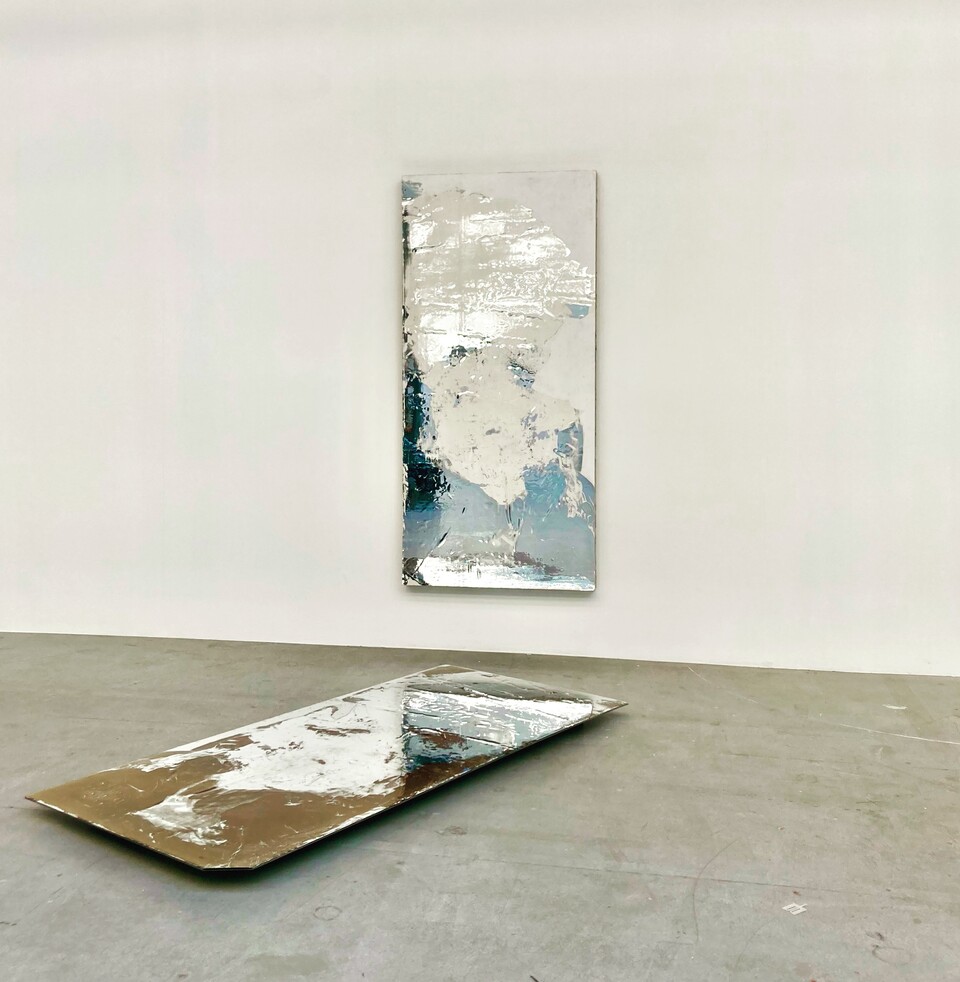 Carrie Yamaoka_purple x gray redux_Maria Lassnig Prize Carrie Yamaoka_purple x gray redux_Maria Lassnig Prize