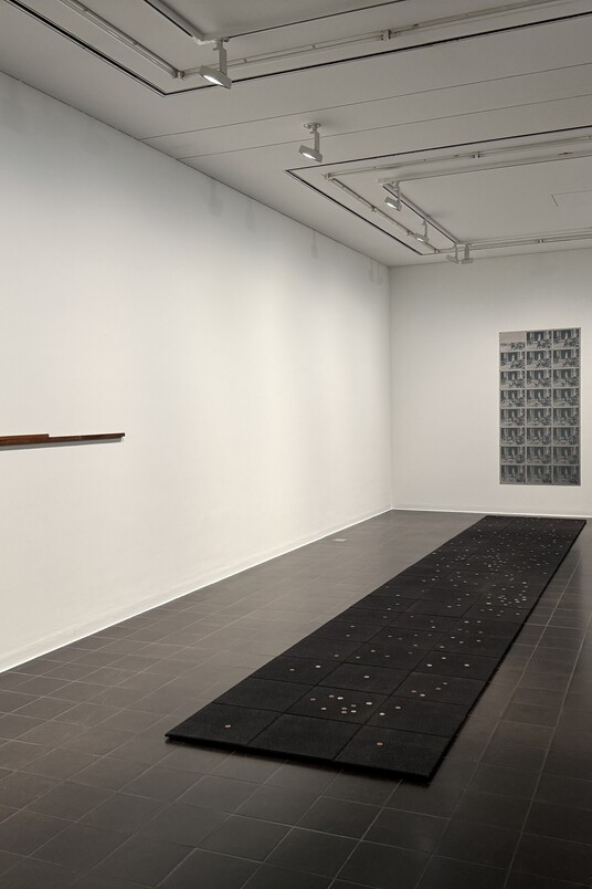 Installationsansicht »Isa Mona Lisa«, Hamburger Kunsthalle, 2025, Foto: Luisa Birke, mit Werken von Sung Tieu