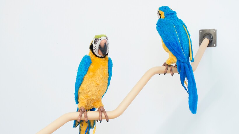 Gerrit Frohne-Brinkmann, Dirty Parrots, 2022, Hamburger Kunsthalle, Fonds für Junge Kunst der Stiftung Hamburger Kunstsammlungen, erworben 2022